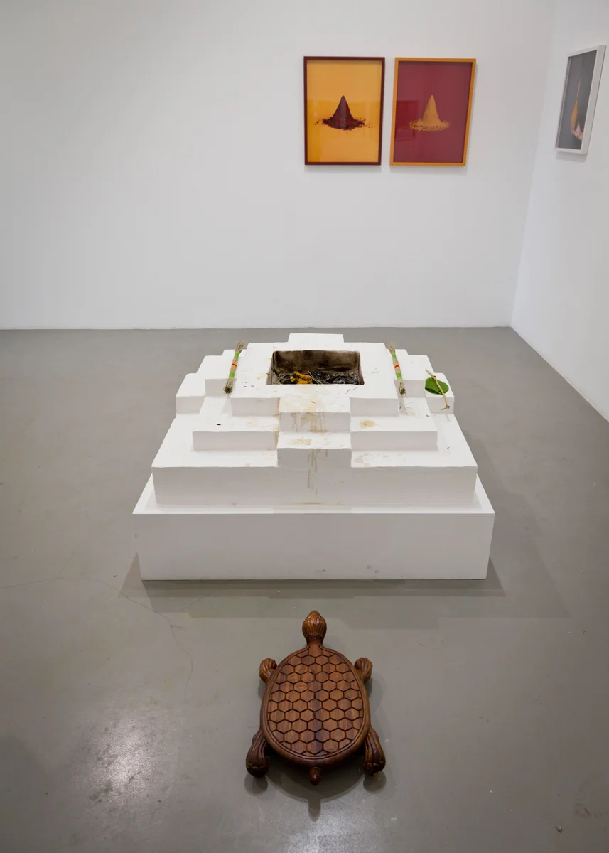 "The Botanica" two person show with AA Bronson, Nature Morte, Berlin, Germany, 2013