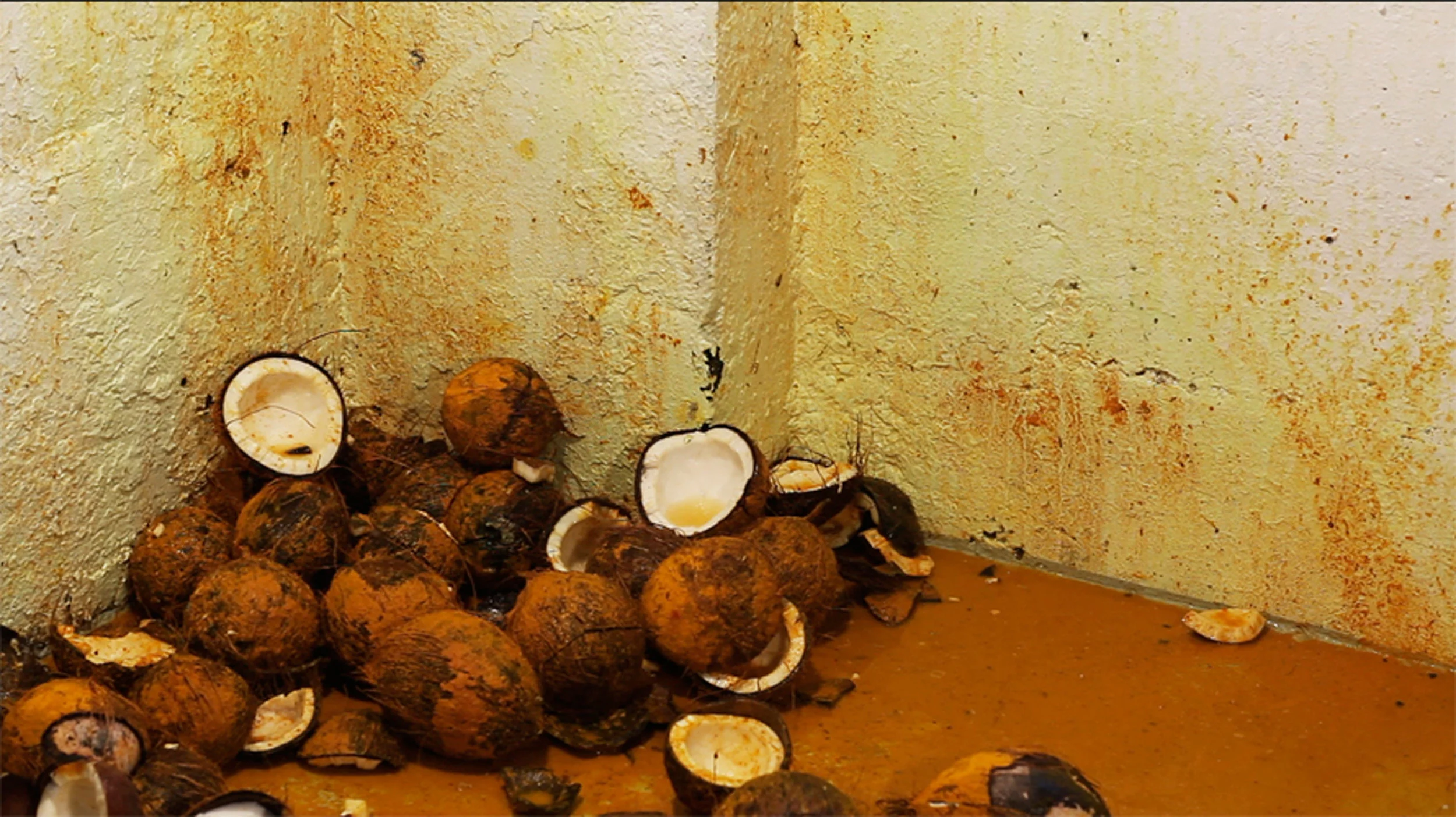 “Removing the Evil Eye from all the works in my studio”, single channel video, 2010
