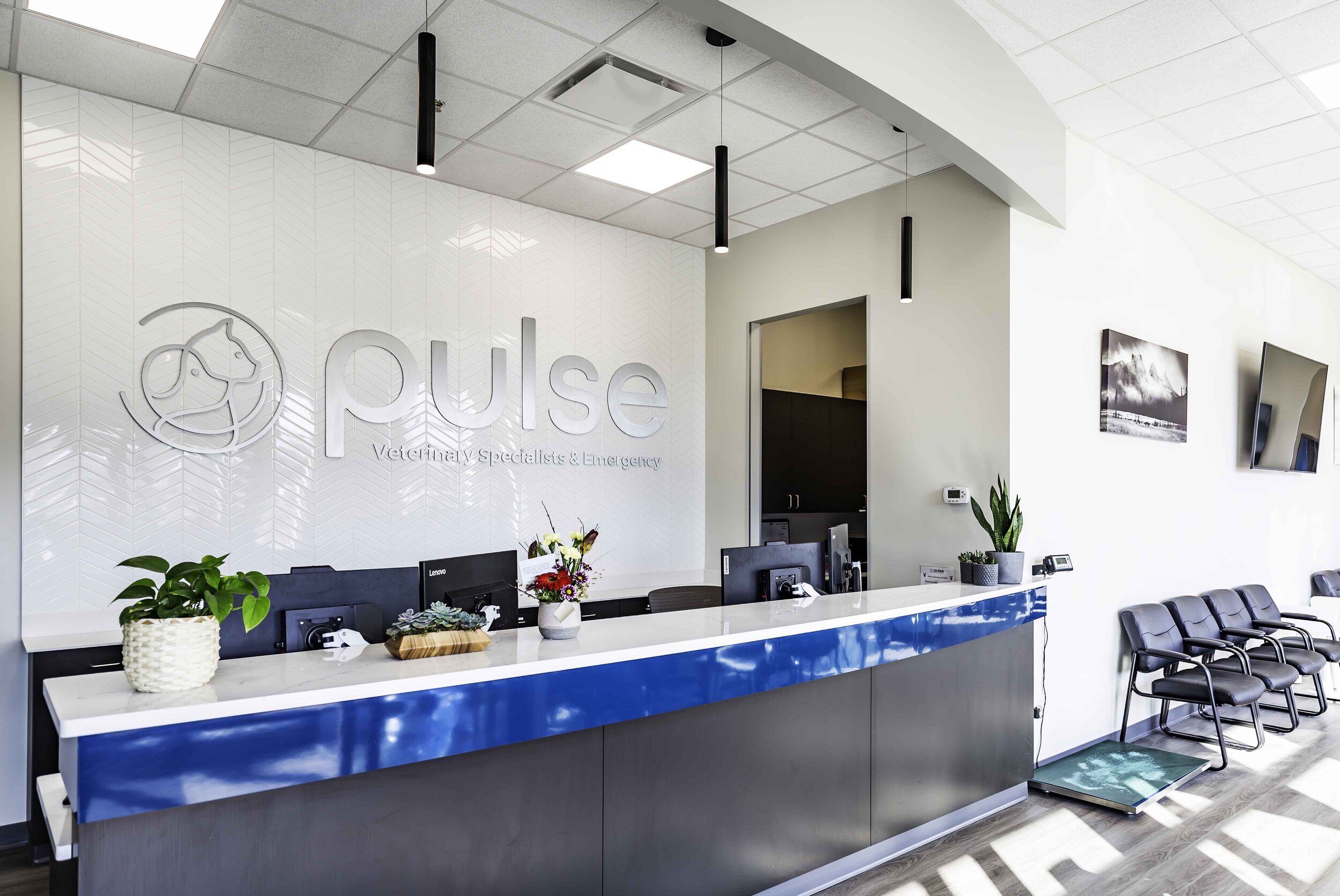 Pulse Veterinary Clinic - Edmonton, AB