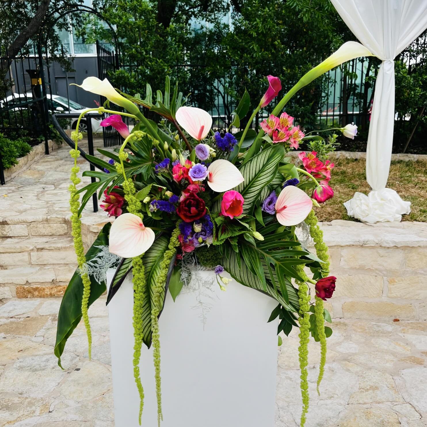 Congratulations to Jenna &amp; Leo on their marriage yesterday at the Allan House in Austin, TX. The day was full of color, laughter, good food and company! 

Couple @jenna.belvedere &amp; @likethelion_ 
Cake @lovergirlbakery 
Catering @peachedtortil