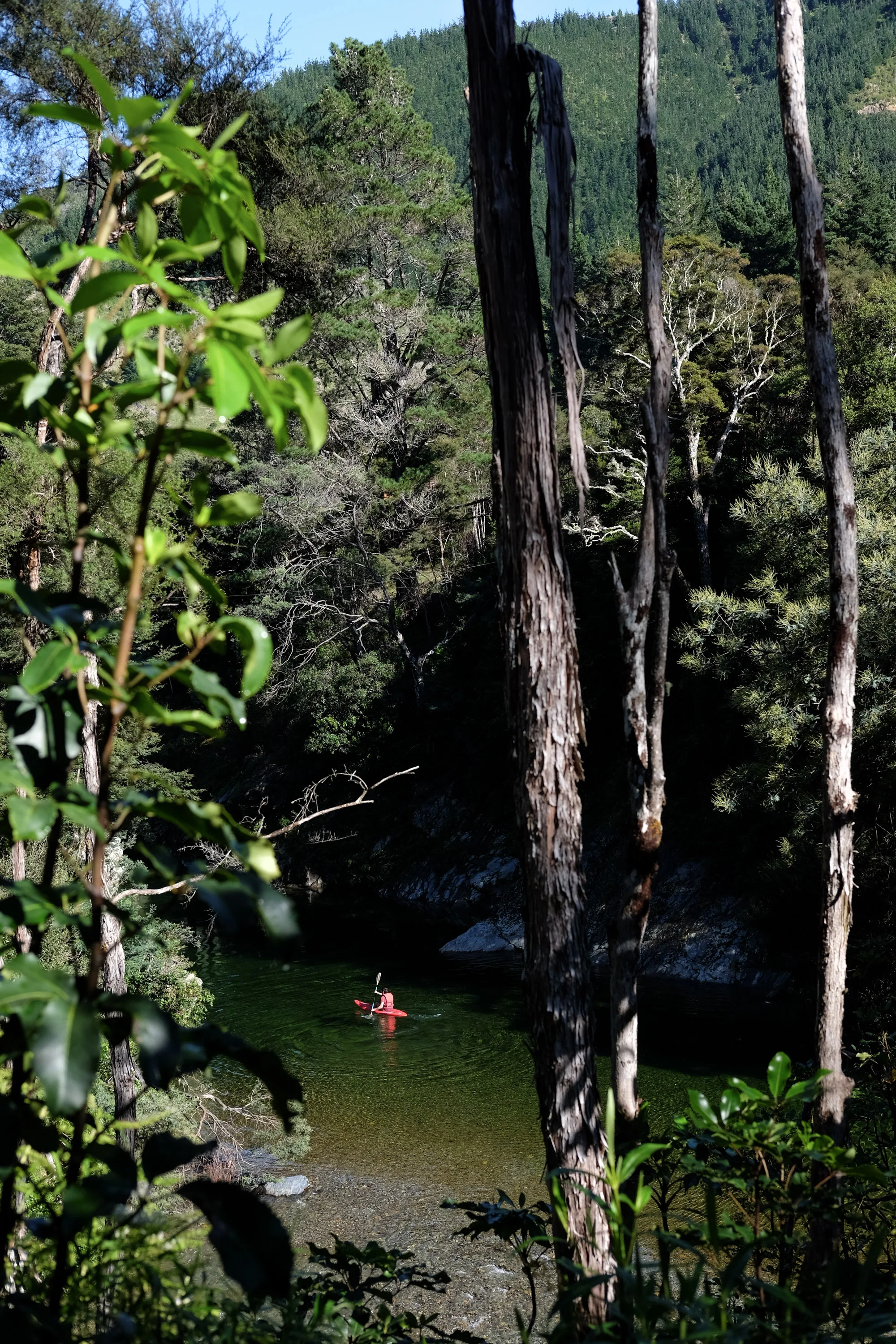 DSCF9025.jpg