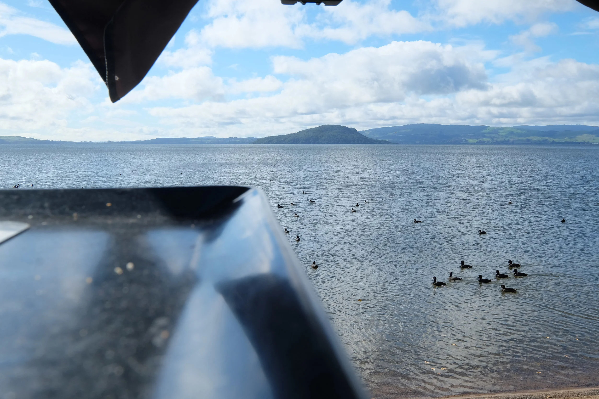DSCF9890.jpg