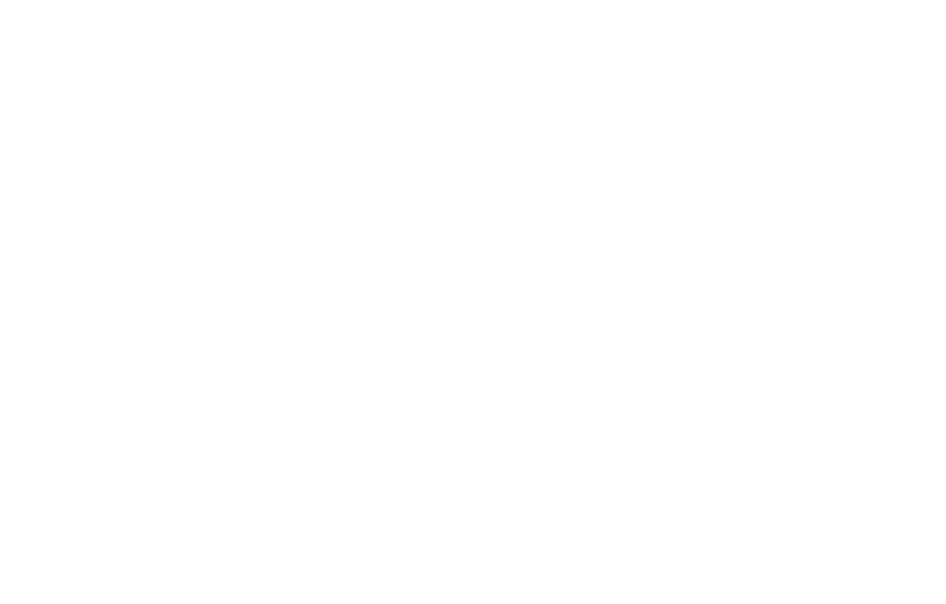 BAZAARA Logo White Transparent.png