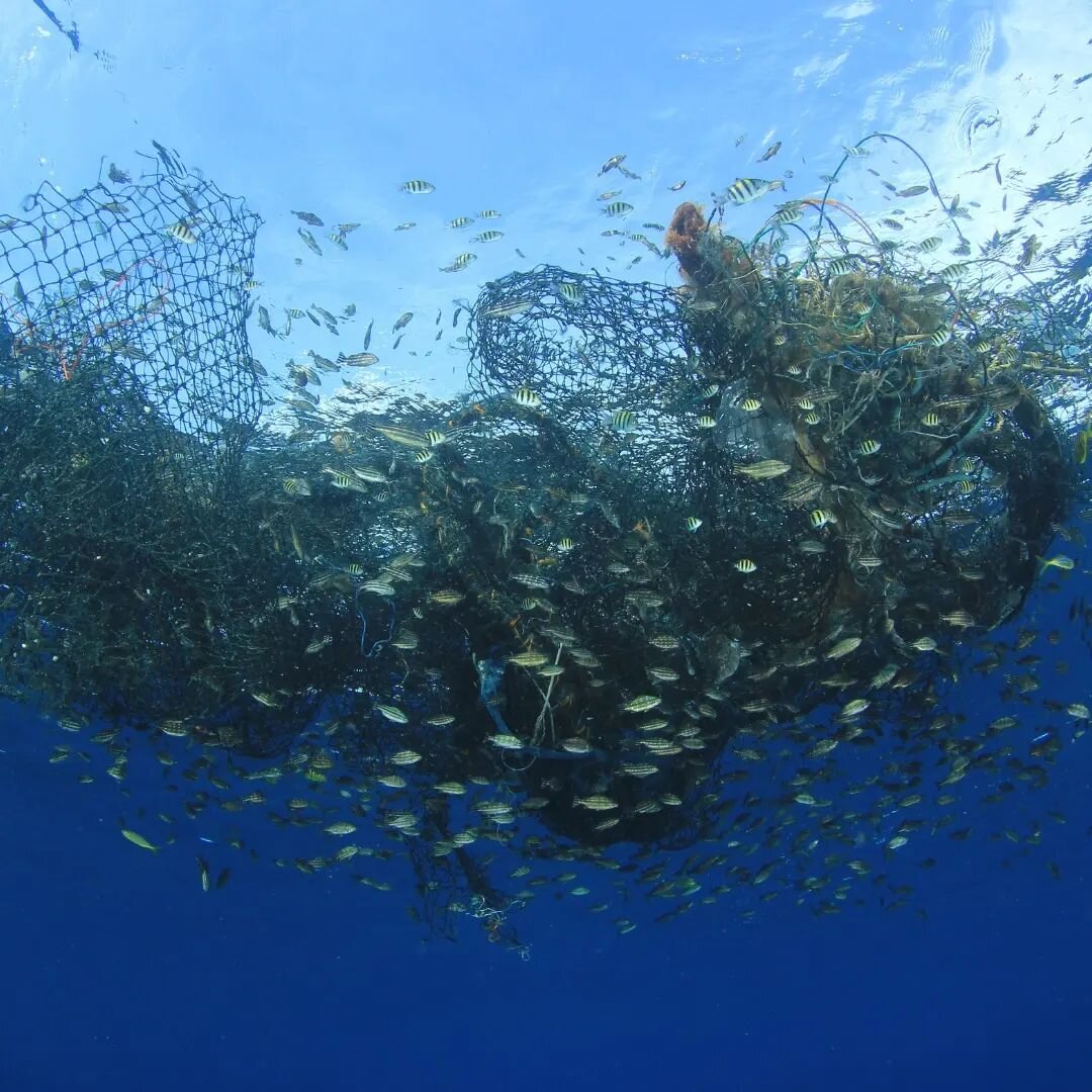 Ghost nets (abandoned fishing nets) pollute our #oceans and drastically endanger many species in the seas. They make up nearly half of the world's plastic ocean pollution.
As part of AZRAQ's ongoing fight against marine debris we want to conduct a *r