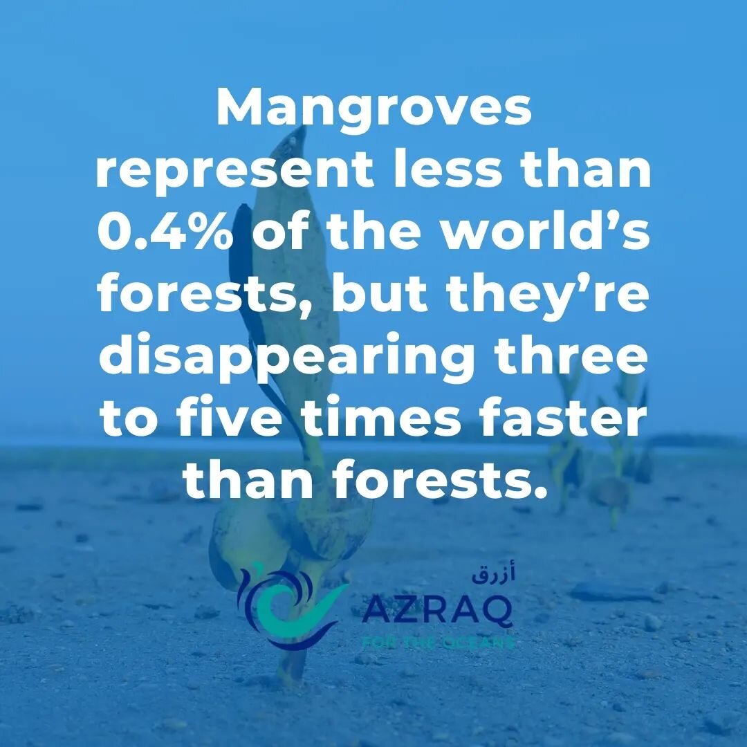 #DYK? With all the ongoing buzz around #climatechange at the #COP27 we thought of shedding light on this unfortunate fact. Every little action we take to preserve our nature counts! 🙌🏻

#climateaction #climatecrisis #marinelife #marineconservation 