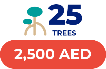 Plant 25 Mangrove Trees in the UAE