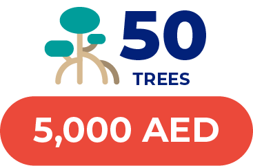 Plant 50 Mangrove Trees in the UAE