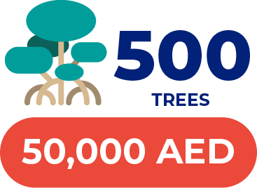 Plant 500 Mangrove Trees in the UAE