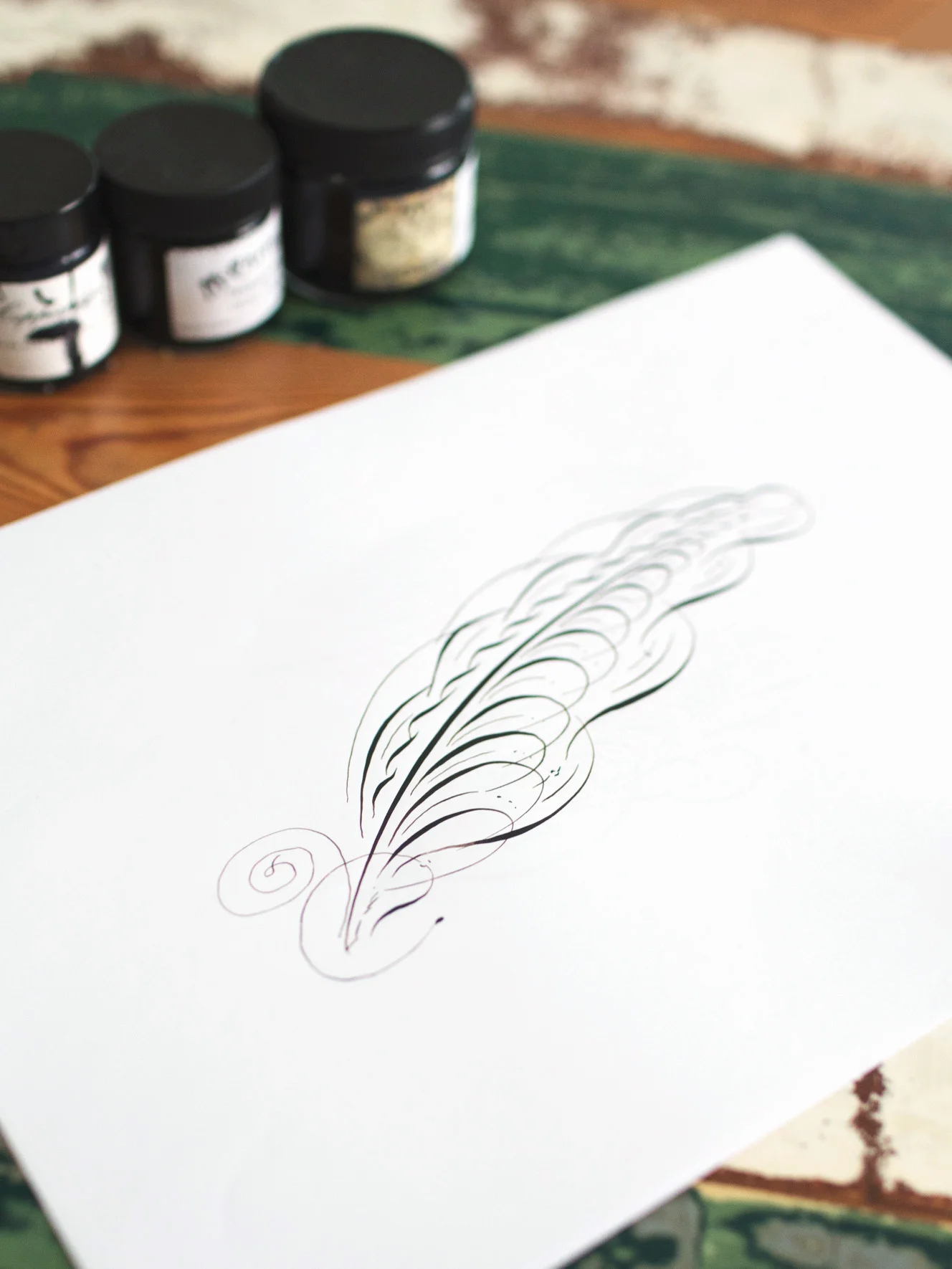 feather1.jpg.jpeg