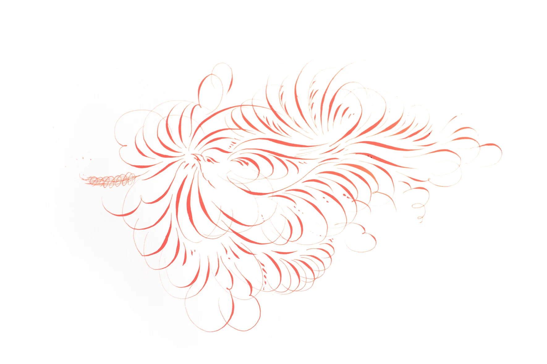 bird_from_tutorial.jpg.jpeg
