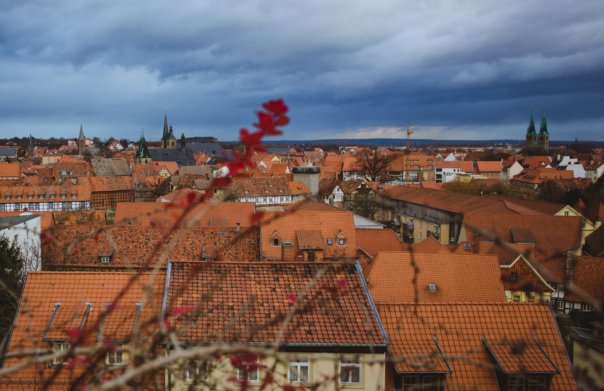 View from the Quedlinburg Castle-Hill