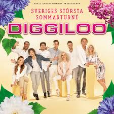 diggiloo 2016.jpeg