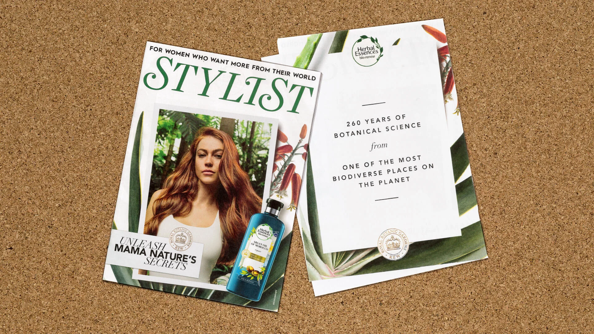 20190627_MRP_HE_Stylist.jpg