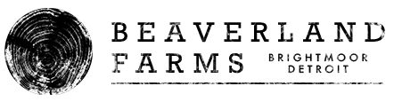 banner.png