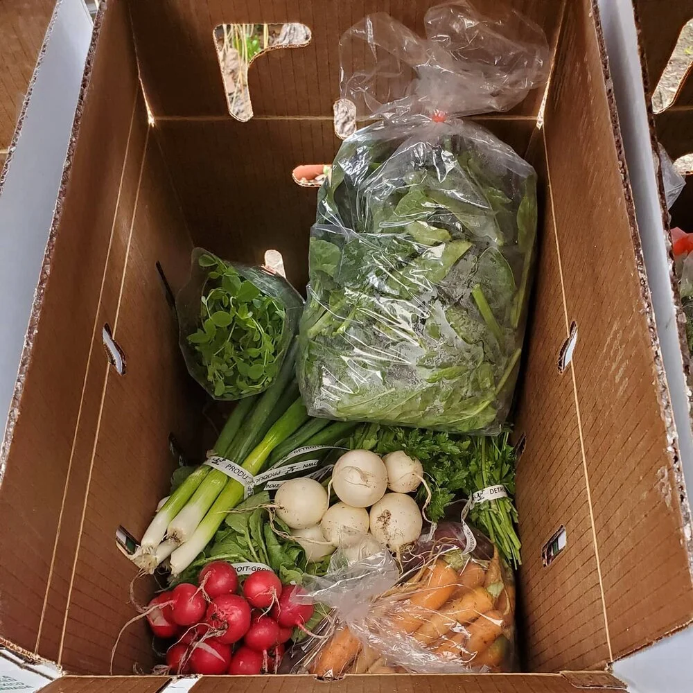 Fall Week 8 Box