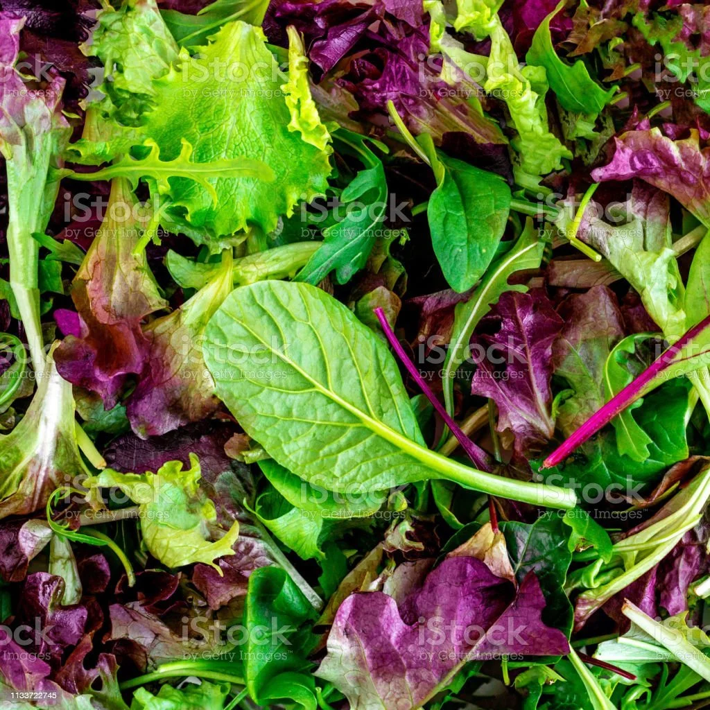 salad mix.jpeg