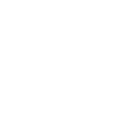 whiteBFlogo.png