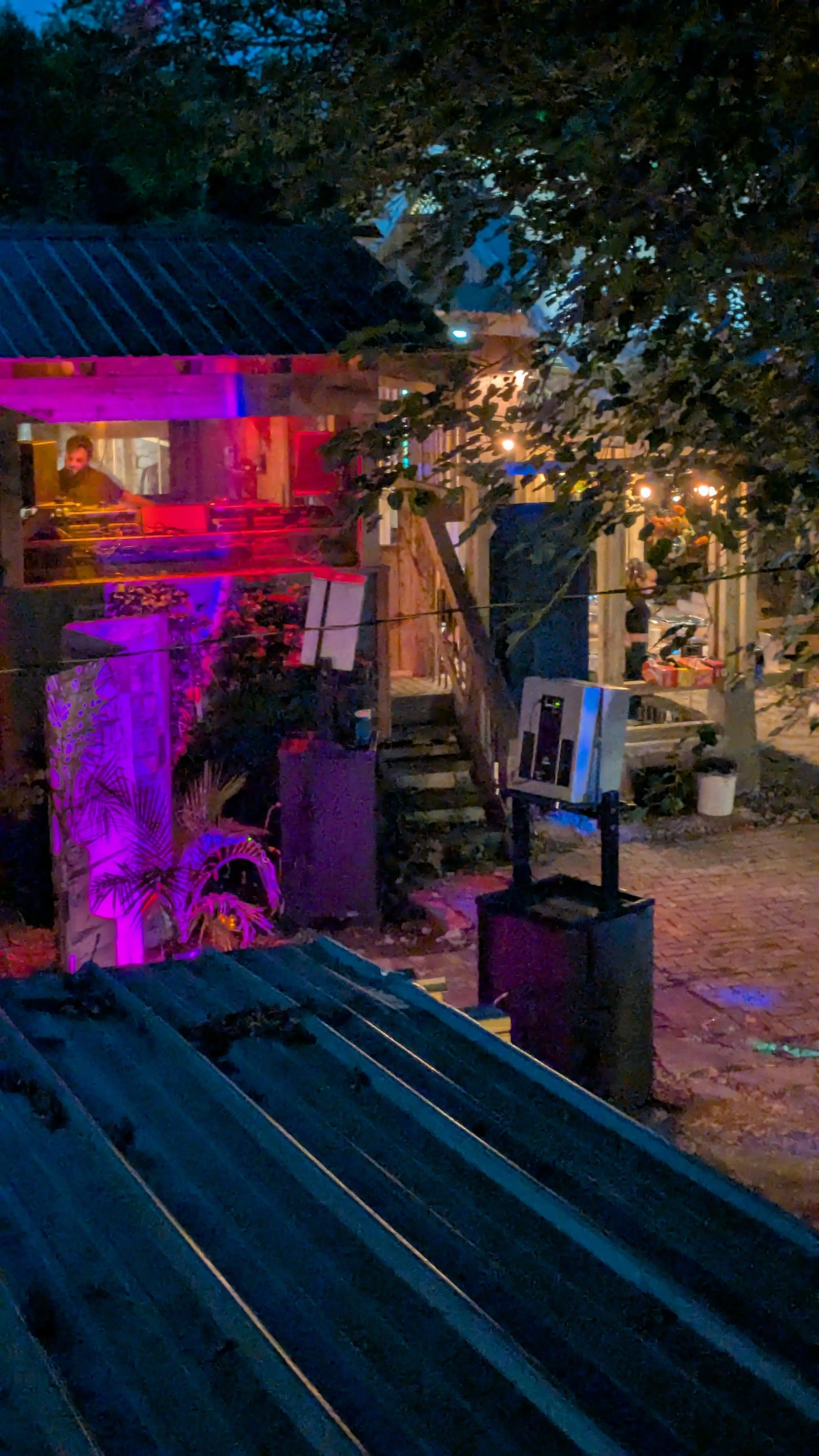 Summer Solstice Party