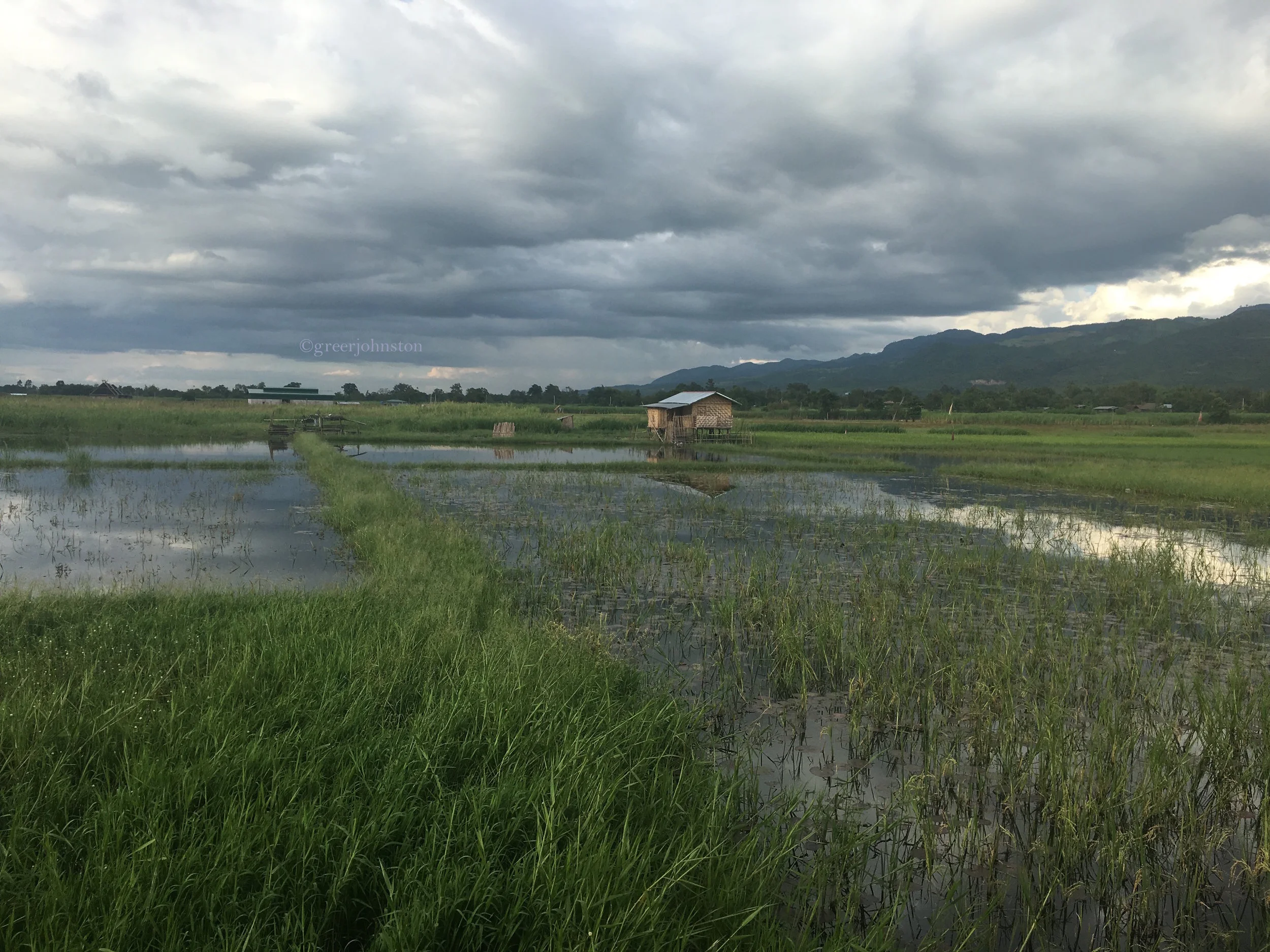 Finding a new path in Myanmar