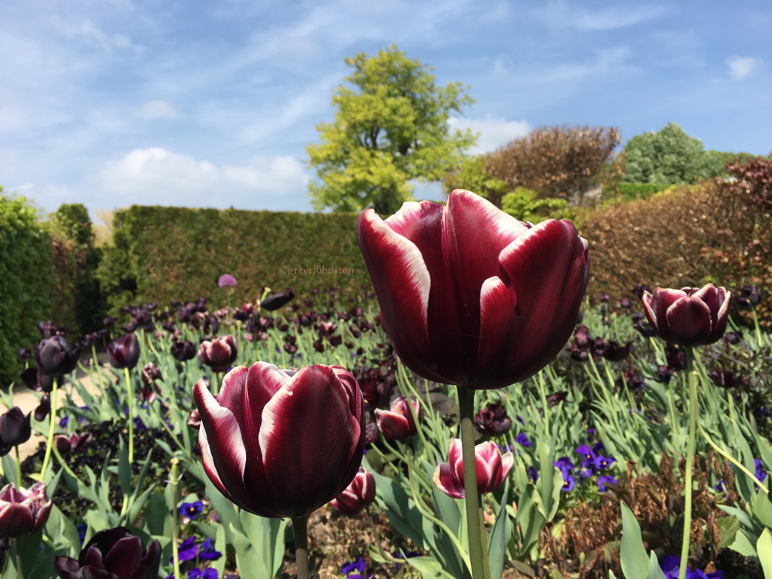 But...what is zero waste?