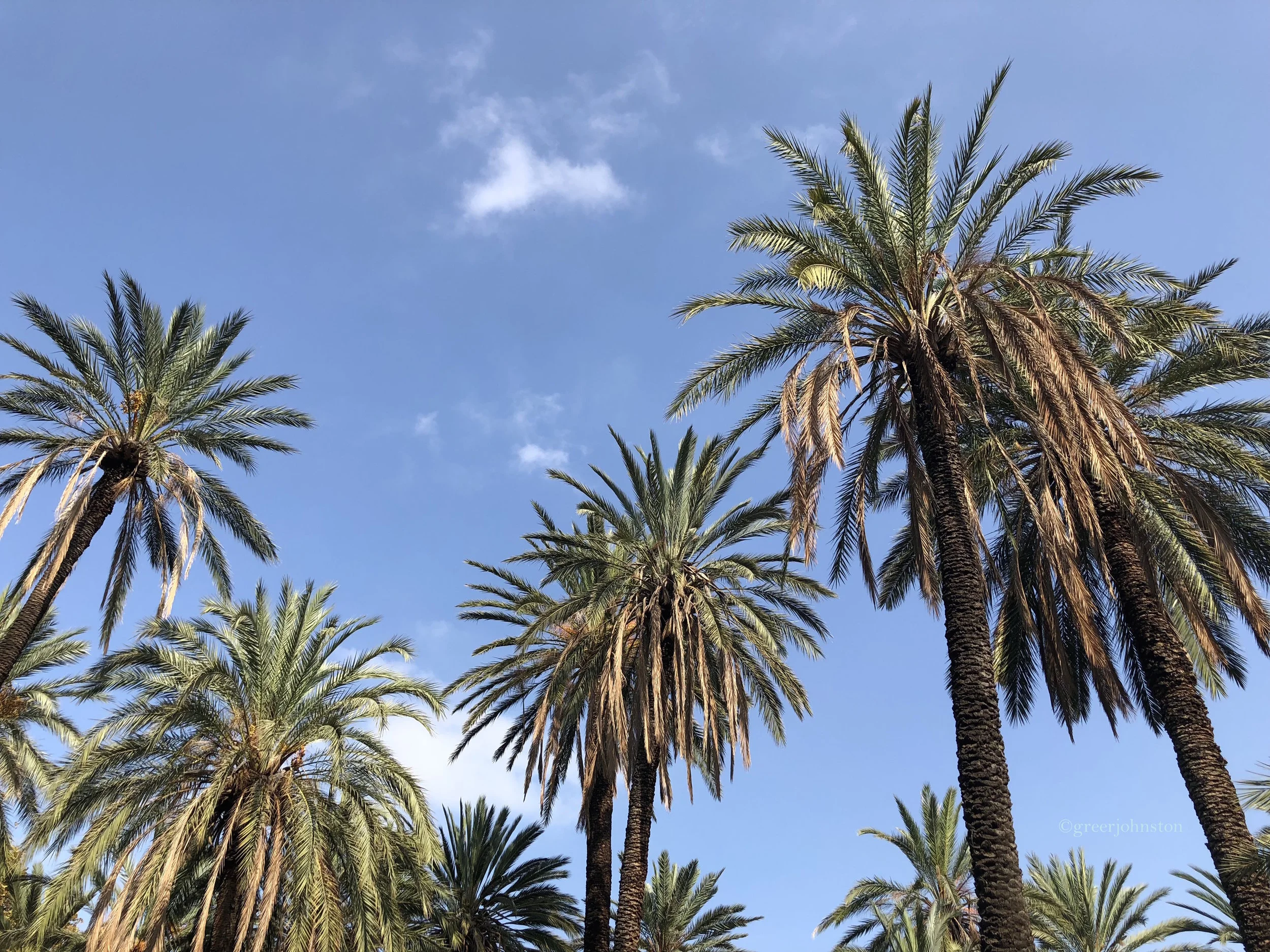 Consumption, Combustion