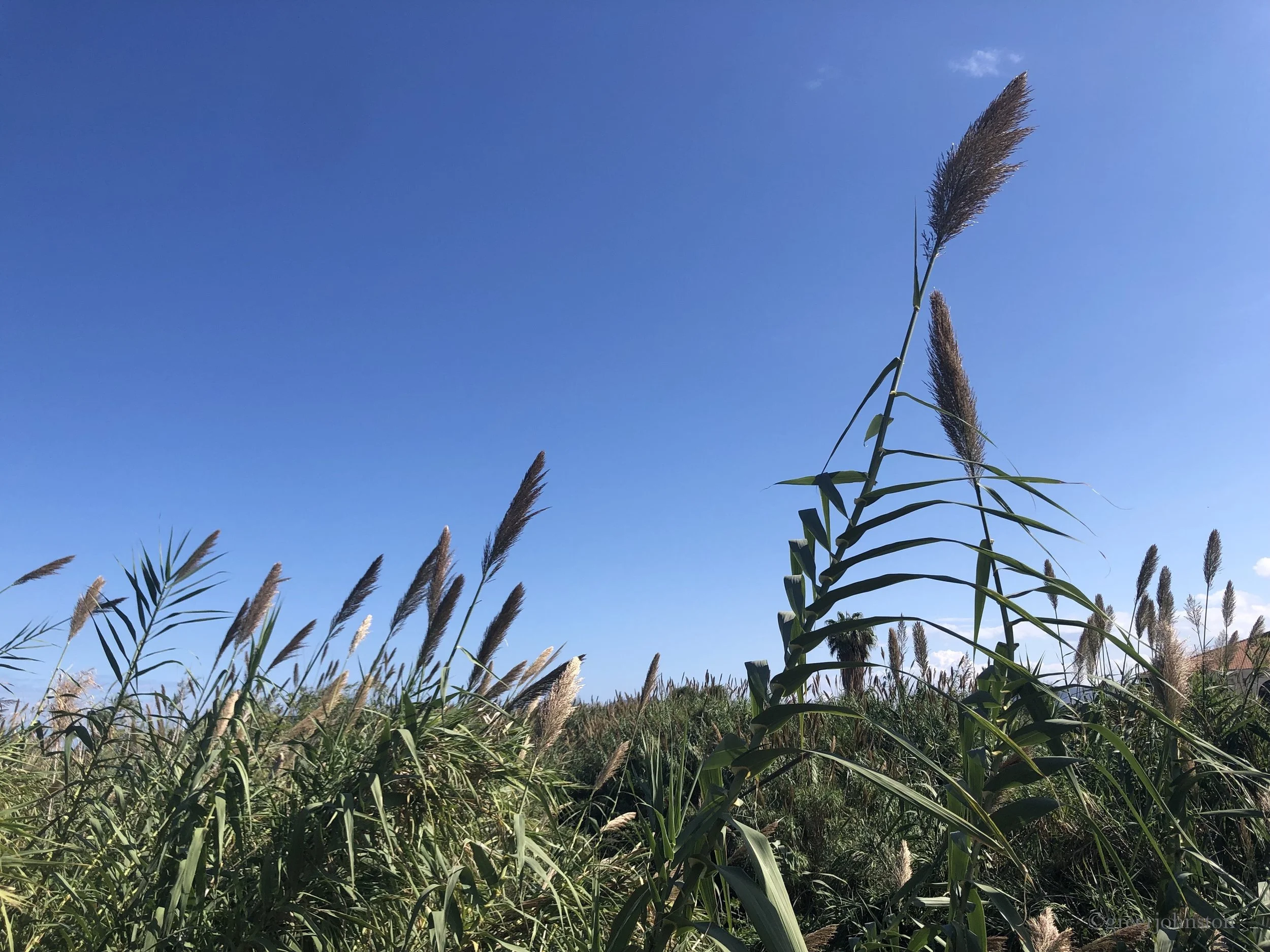 And maybe no one knows but me