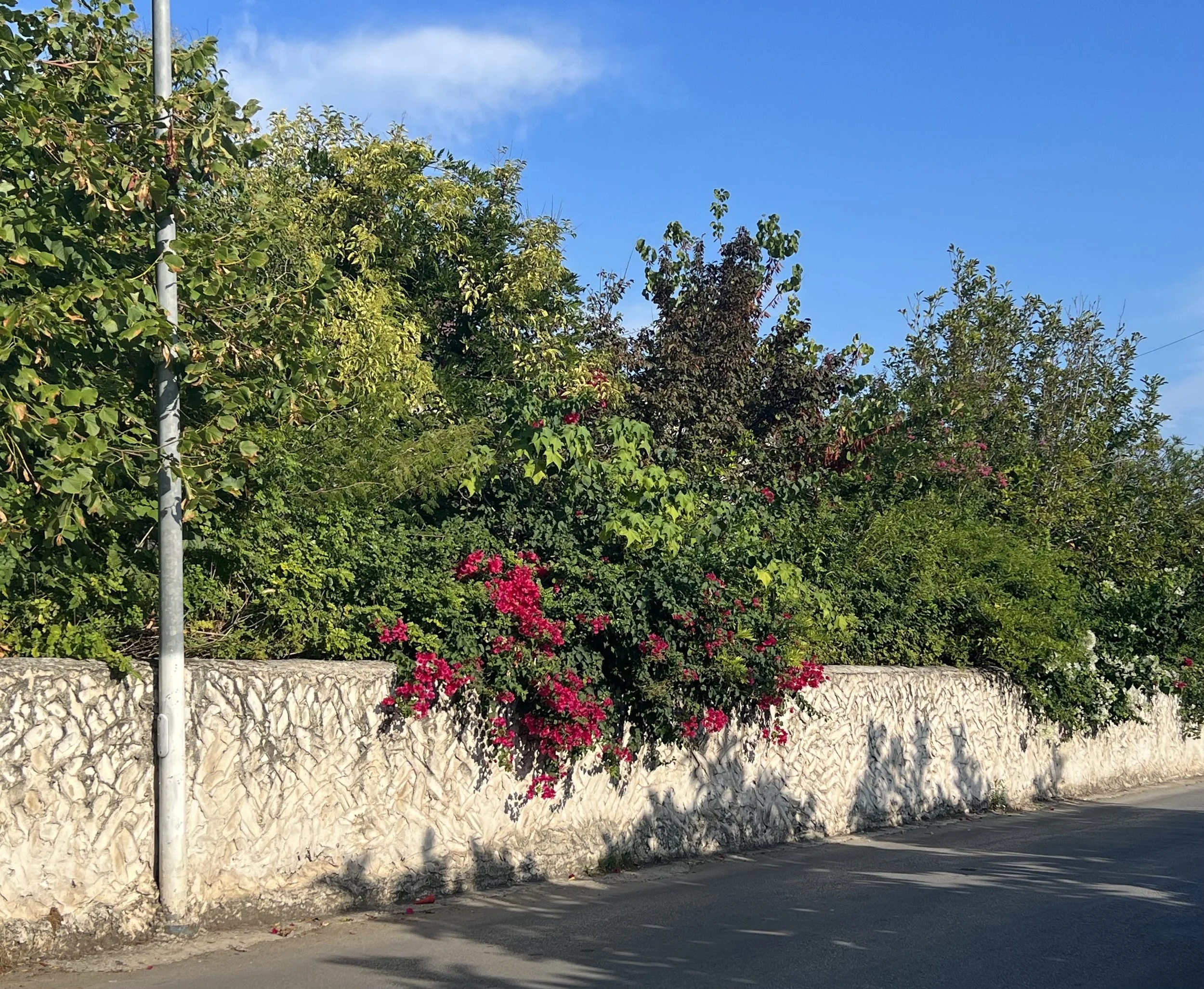 I don't know how to find peace in my heart