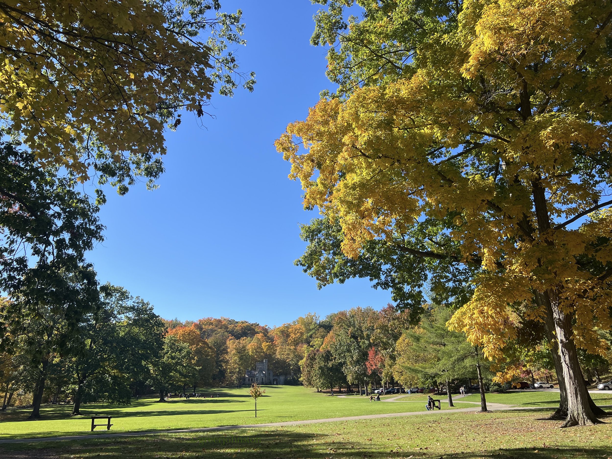 Walking through the fallen leaves