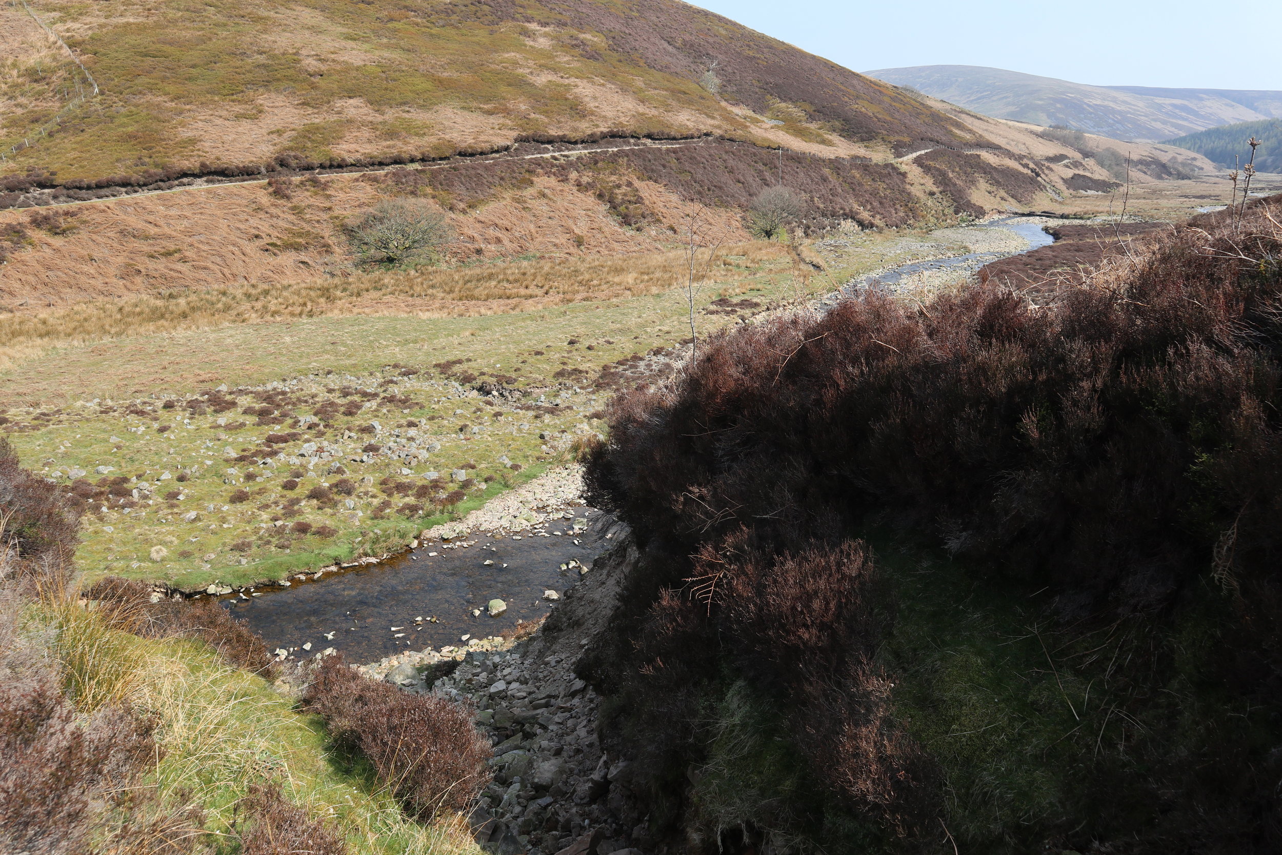 Forest Of Bowland 14.JPG