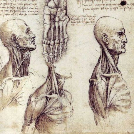 Posture+.jpg