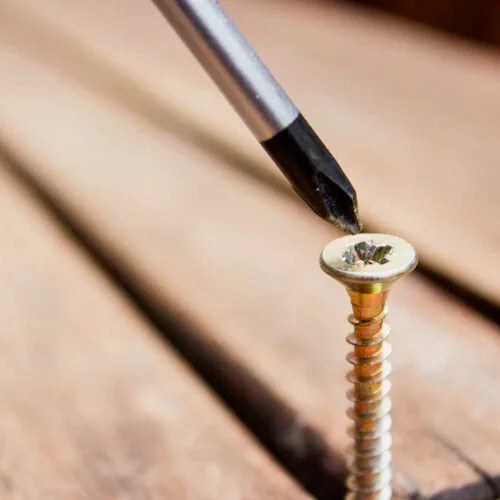 Our Bones Tell The Story | The Screw-Home Mechanism