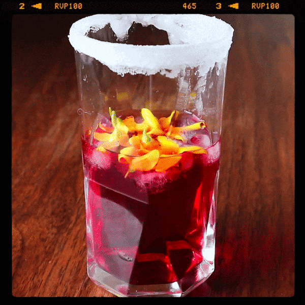 Recipe • The Quarantini
