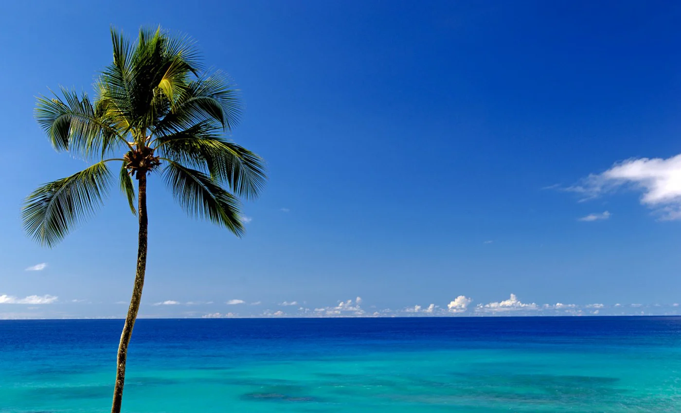 Cobblers Cove - Sea View.jpg