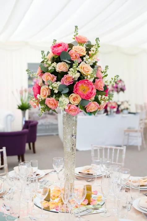 Micklefield-Hall-Open-Day_11