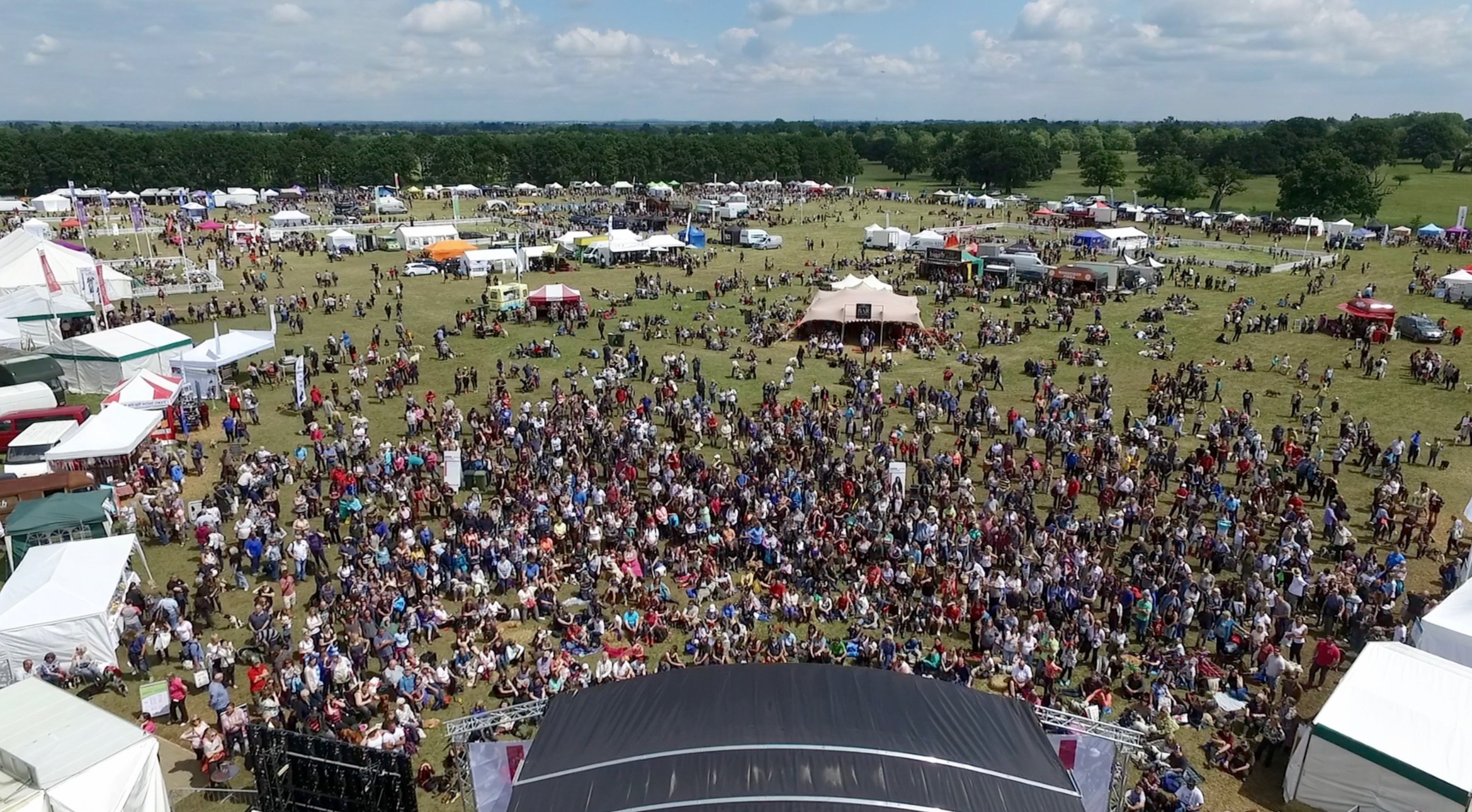 festival crowd.png
