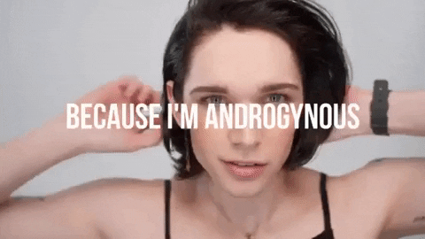 giphy-4.gif