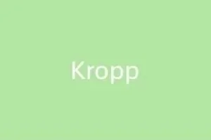 Kropp-e1774951017242-300x200.jpg