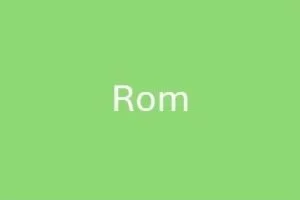 Rom-1-e1774950943182-300x200.jpg
