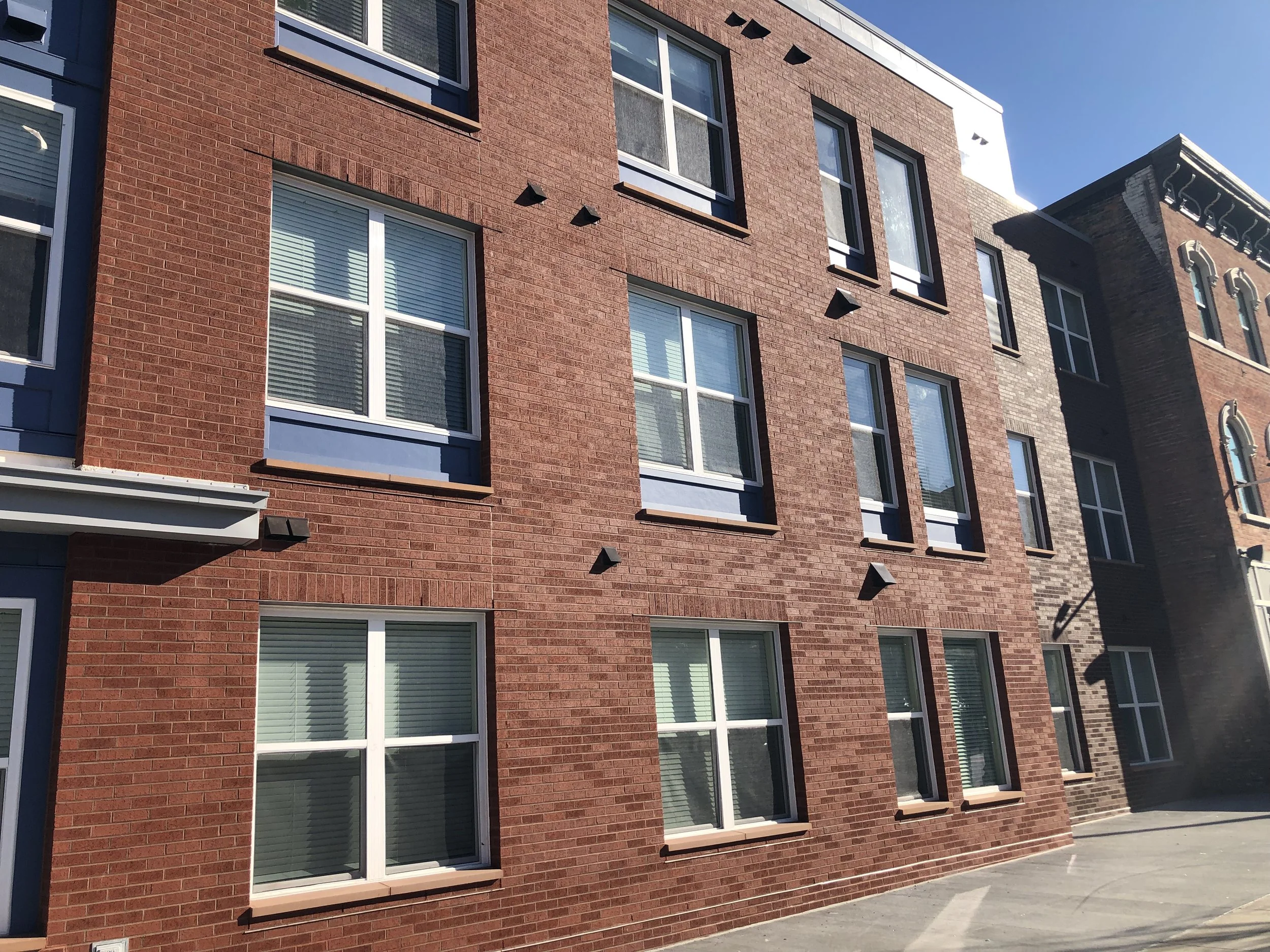 2022 Short Vine 3.JPG