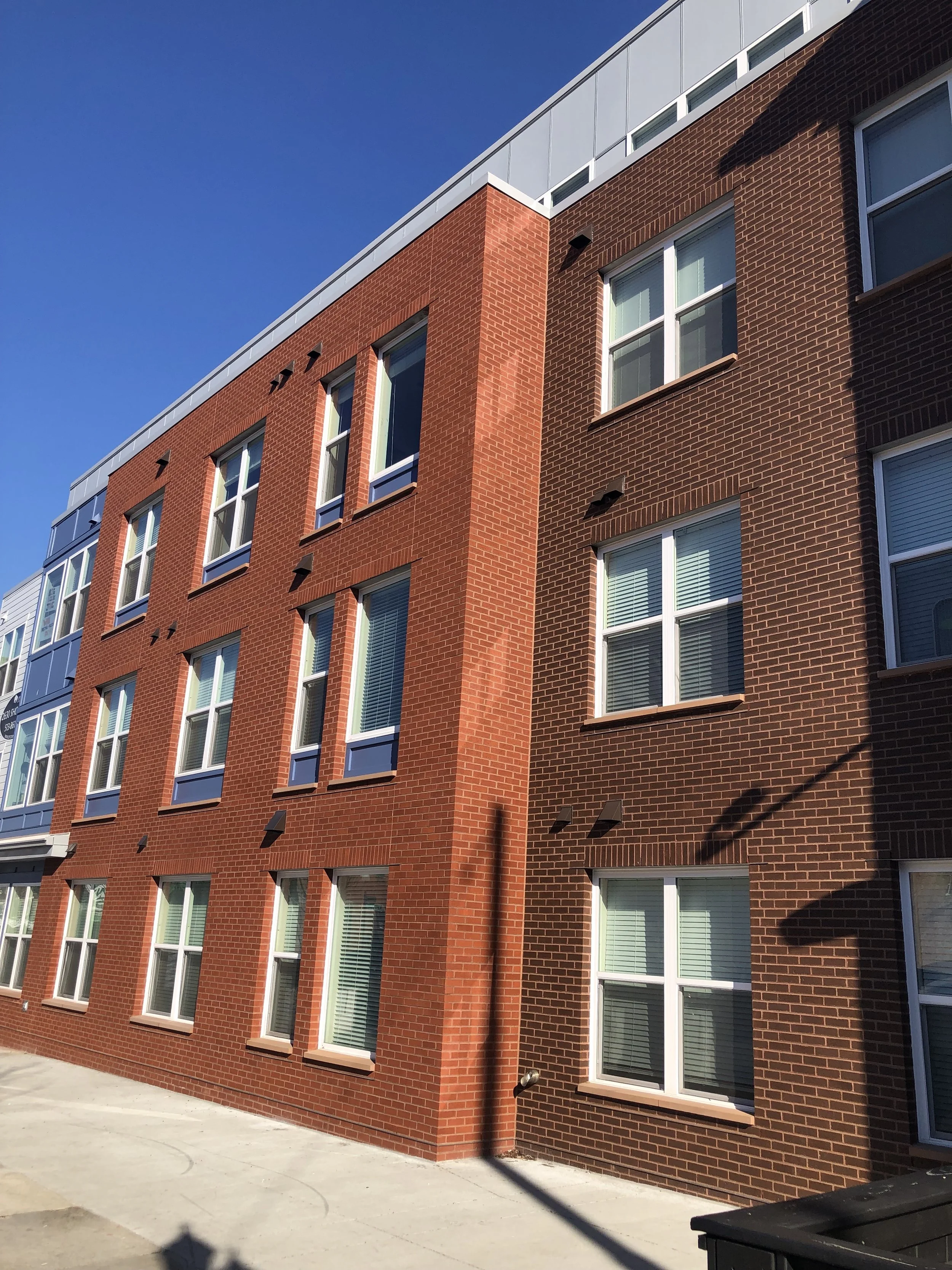 2022 Short Vine 1.JPG