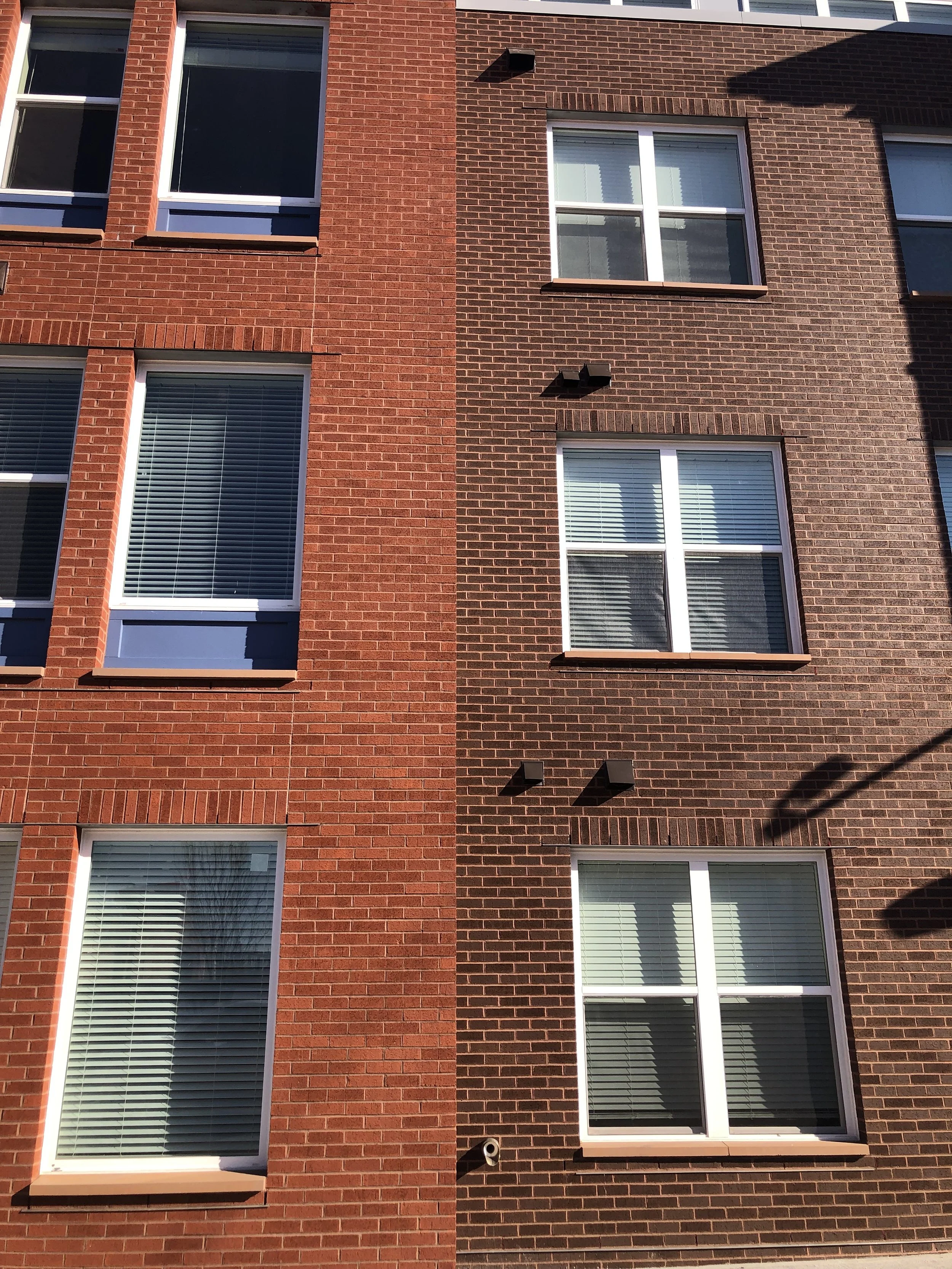 2022 Short Vine 4.JPG