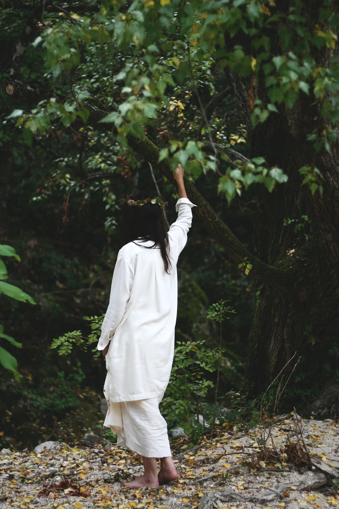 Moonrise Retreat