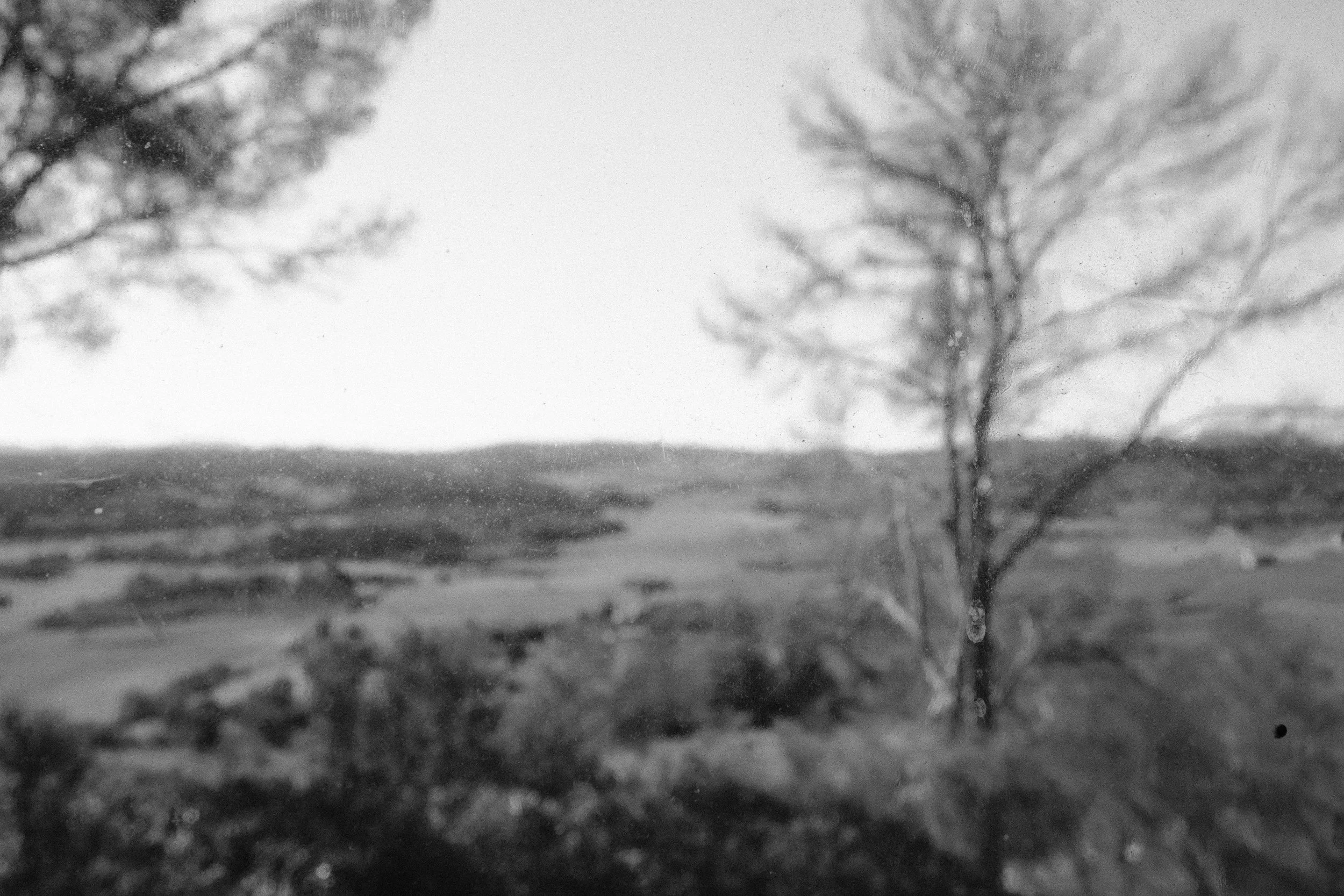 DSCF4354.jpg