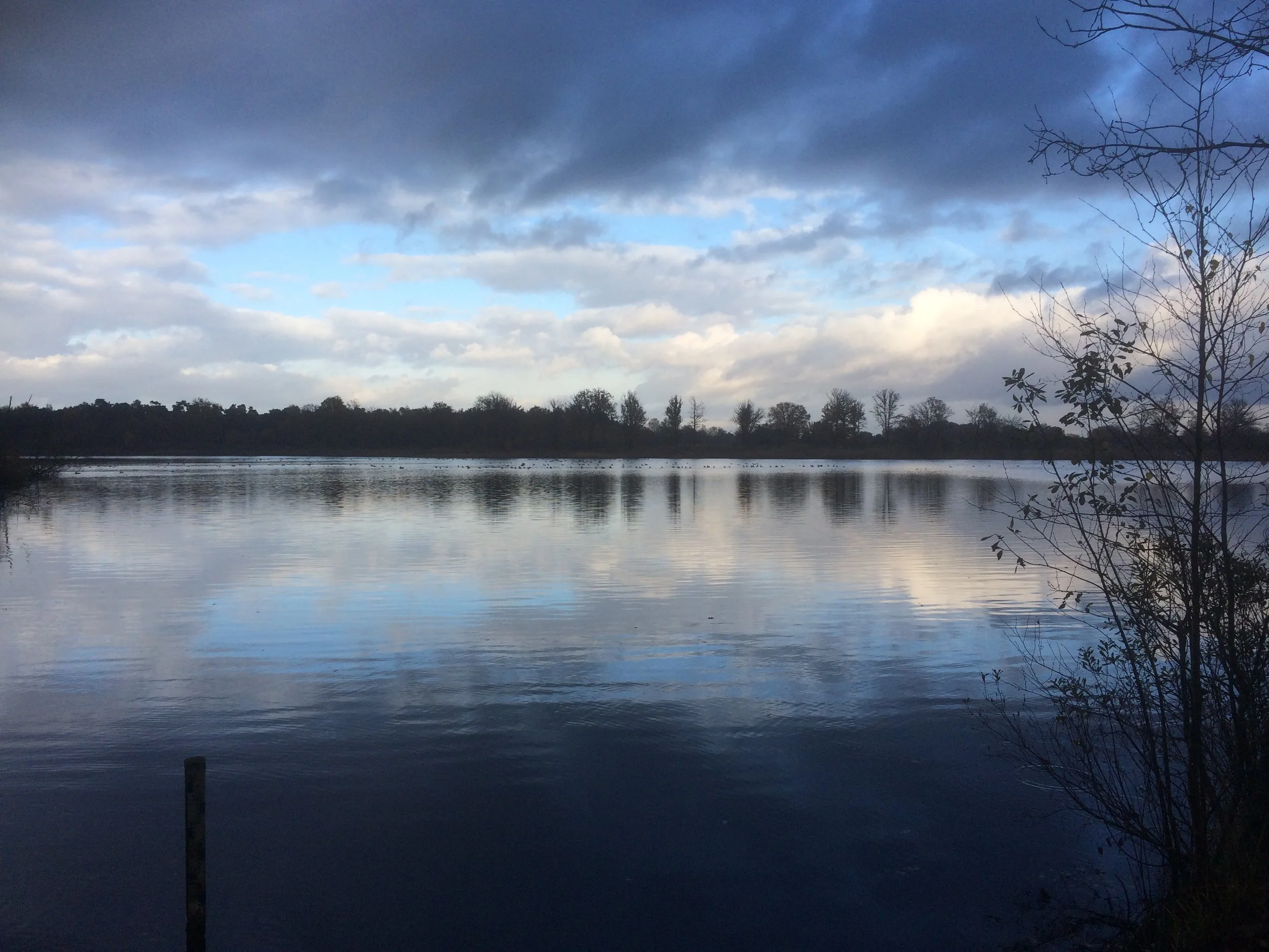 IMG_1110 Van Esschenven.JPG