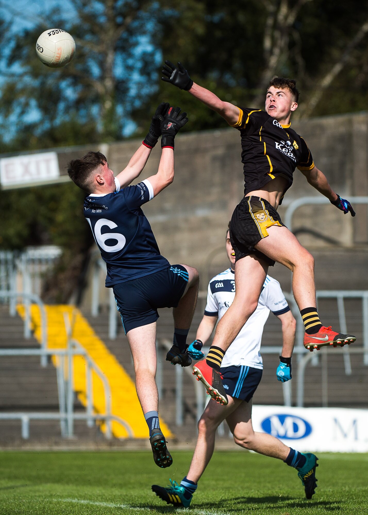 Ruairi Kinsella, Dunshaughlin Royal Gaels 