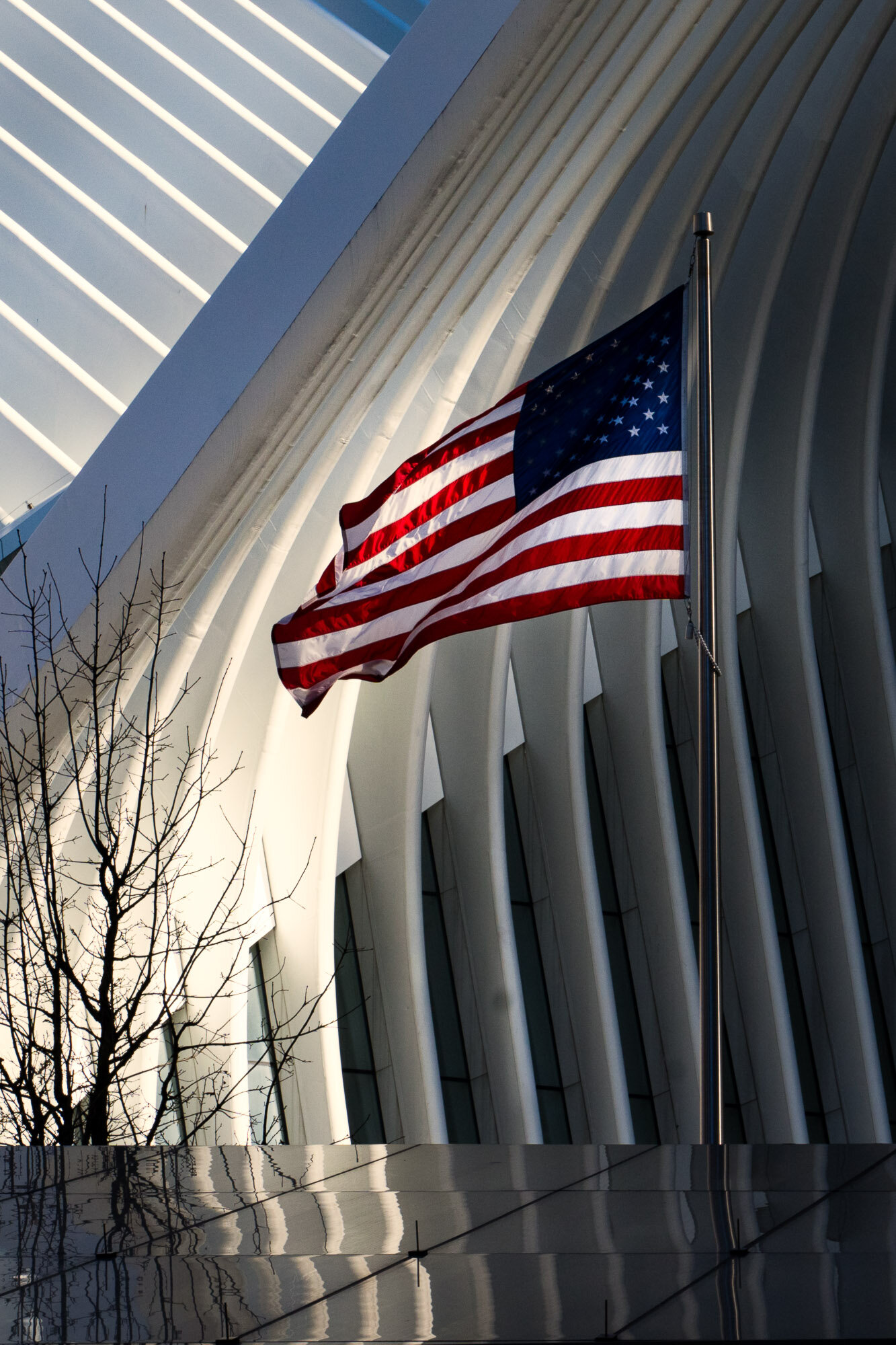 USA -  Stars and Stripes