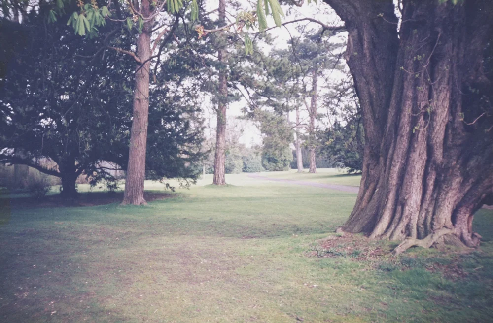 ygcc-056.jpg