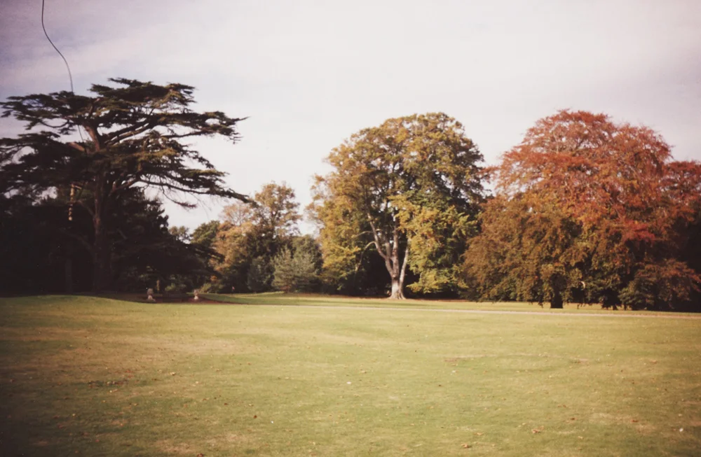 ygcc-113.jpg