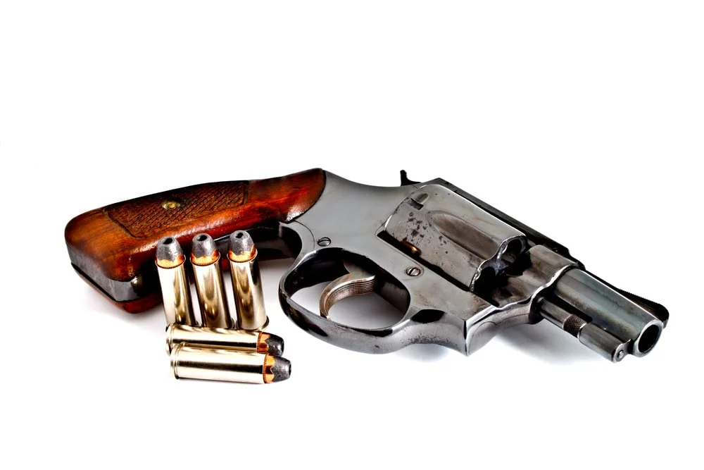 5. Home Gun Laws danibone.jpg