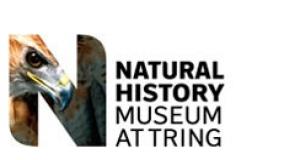 Natural History Museum at Tring.jpg